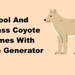 Cool And Badass Coyote Names With Name Generator