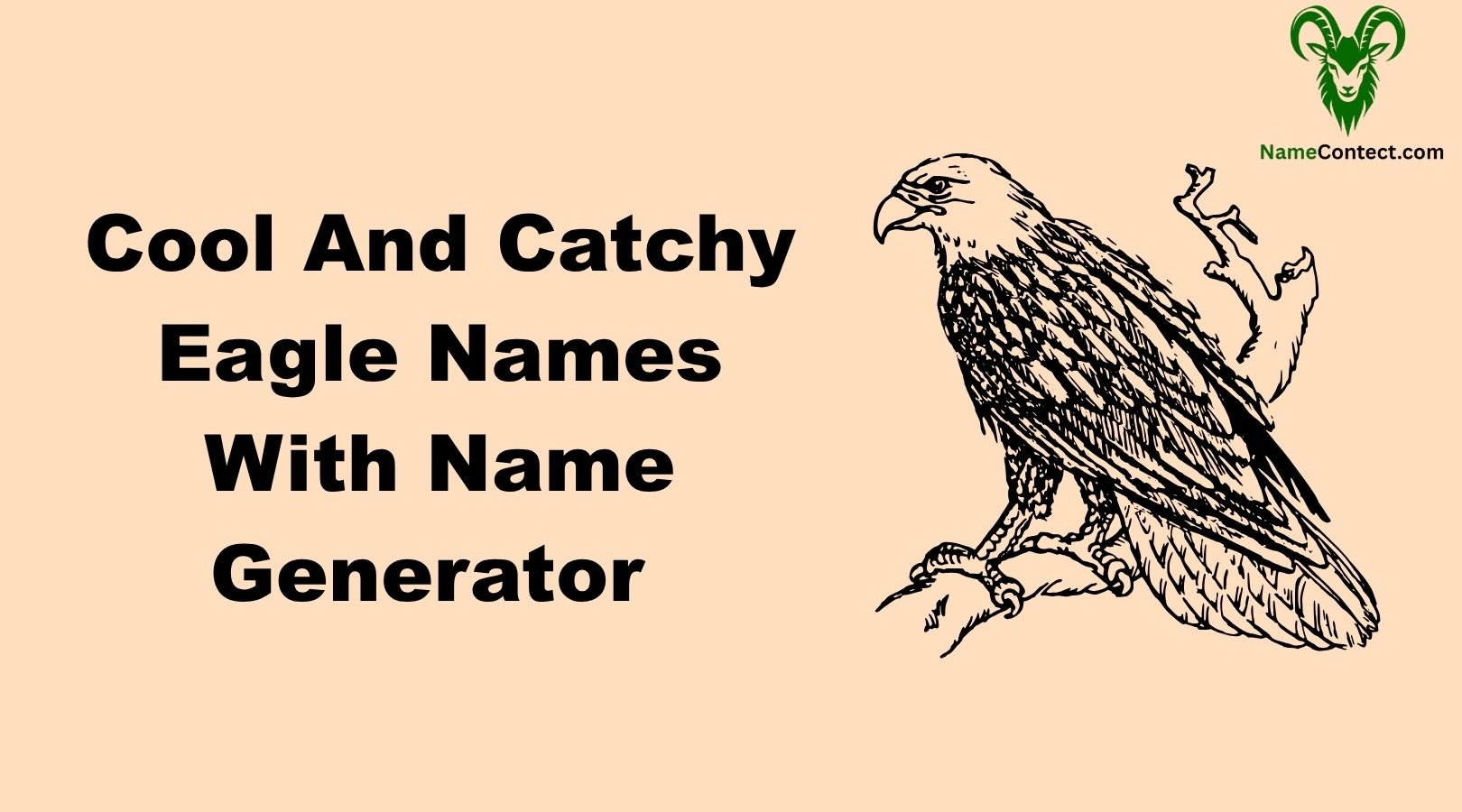 Cool And Catchy Eagle Names With Name Generator
