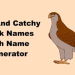 Cool And Catchy Hawk Names With Name Generator