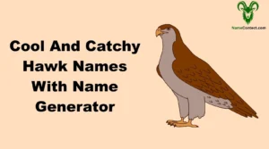 Cool And Catchy Hawk Names With Name Generator
