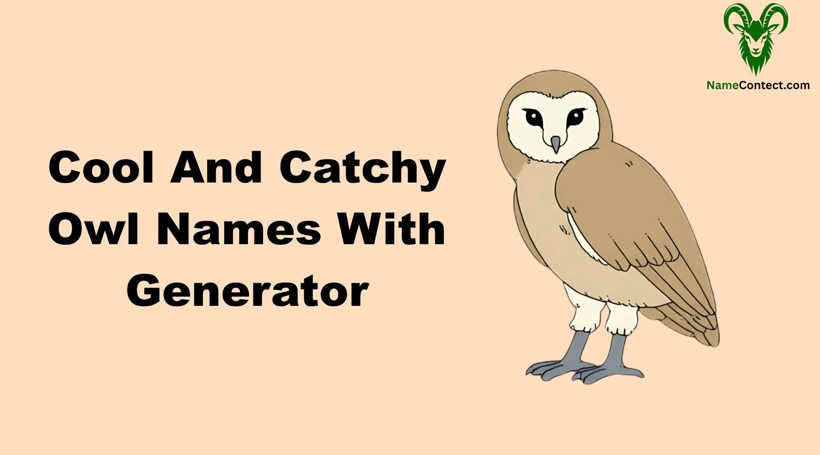 Cool And Catchy Owl Names With Generator