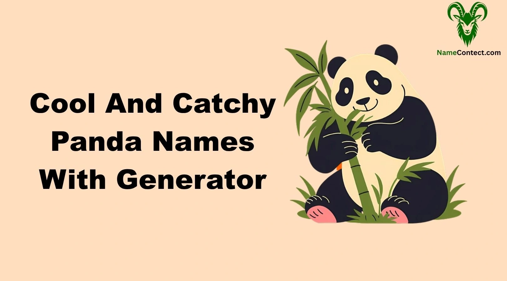 Cool And Catchy Panda Names With Generator