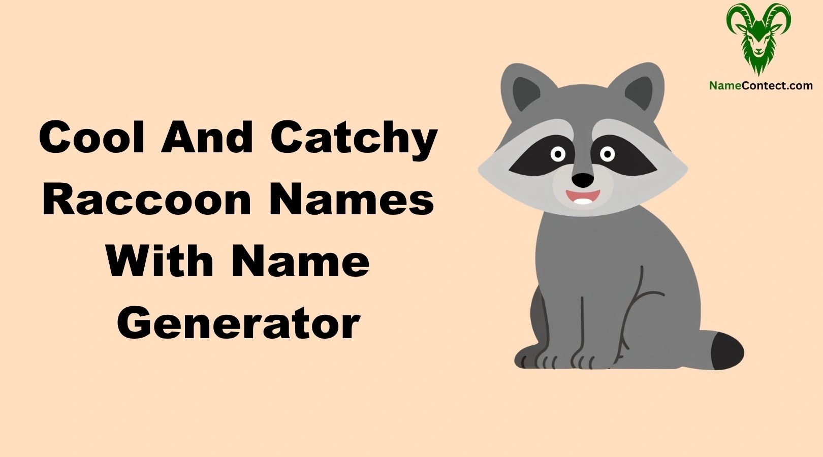 Cool And Catchy Raccoon Names With Name Generator