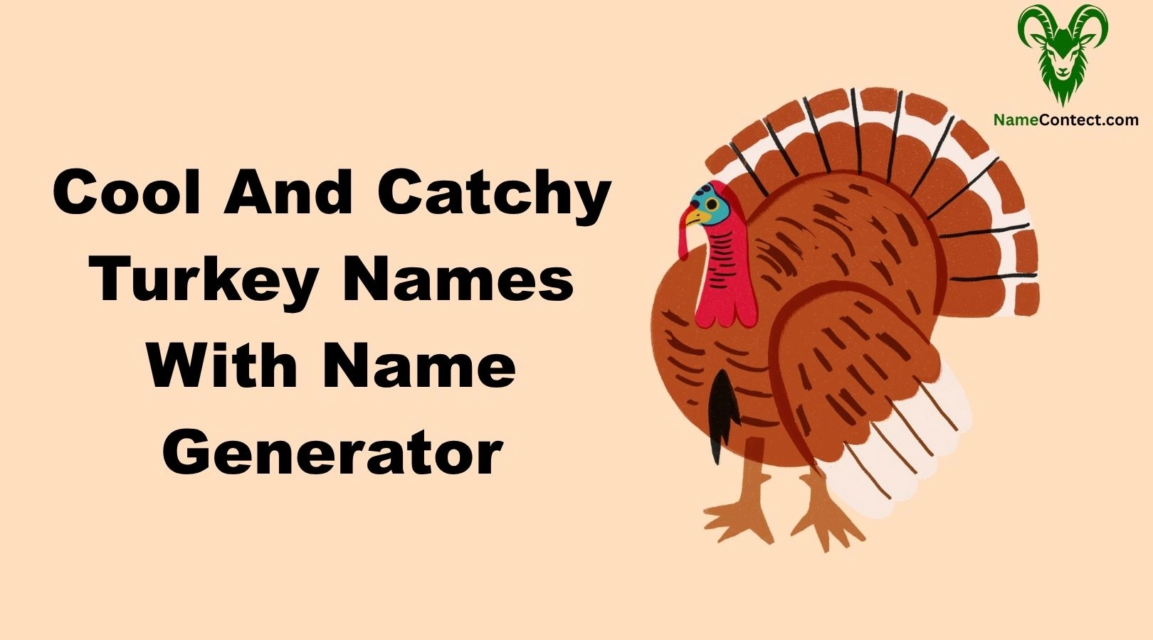 Cool And Catchy Turkey Names With Name Generator