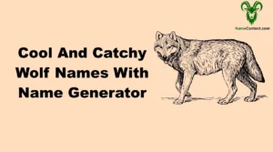 Cool And Catchy Wolf Names With Name Generator