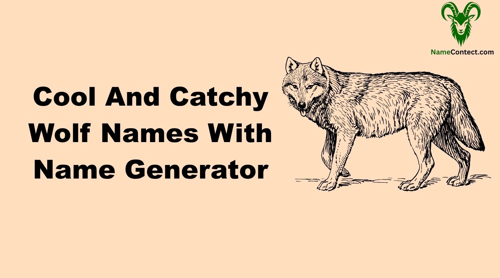 Cool And Catchy Wolf Names With Name Generator