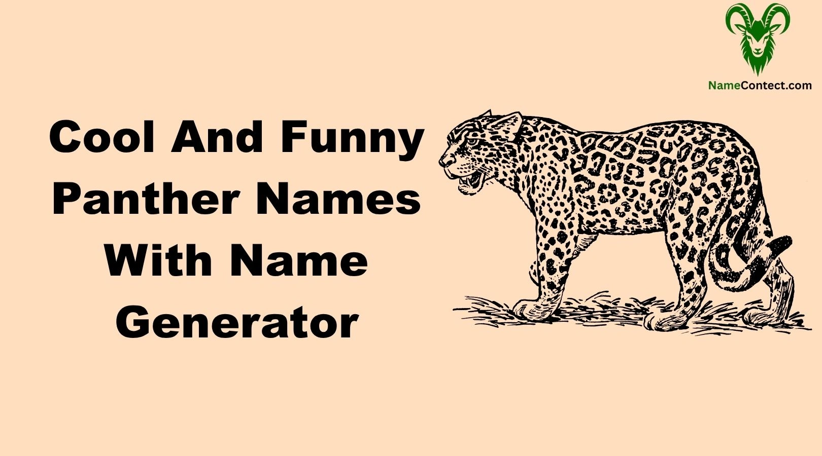 Cool And Funny Panther Names With Name Generator