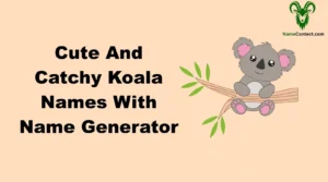 Cute And Catchy Koala Names With Name Generator