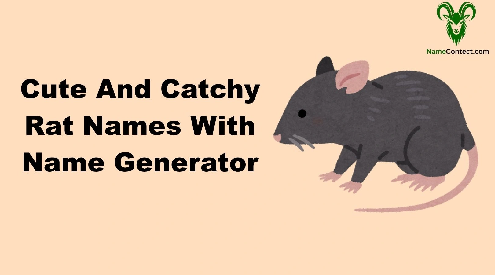Cute And Catchy Rat Names With Name Generator