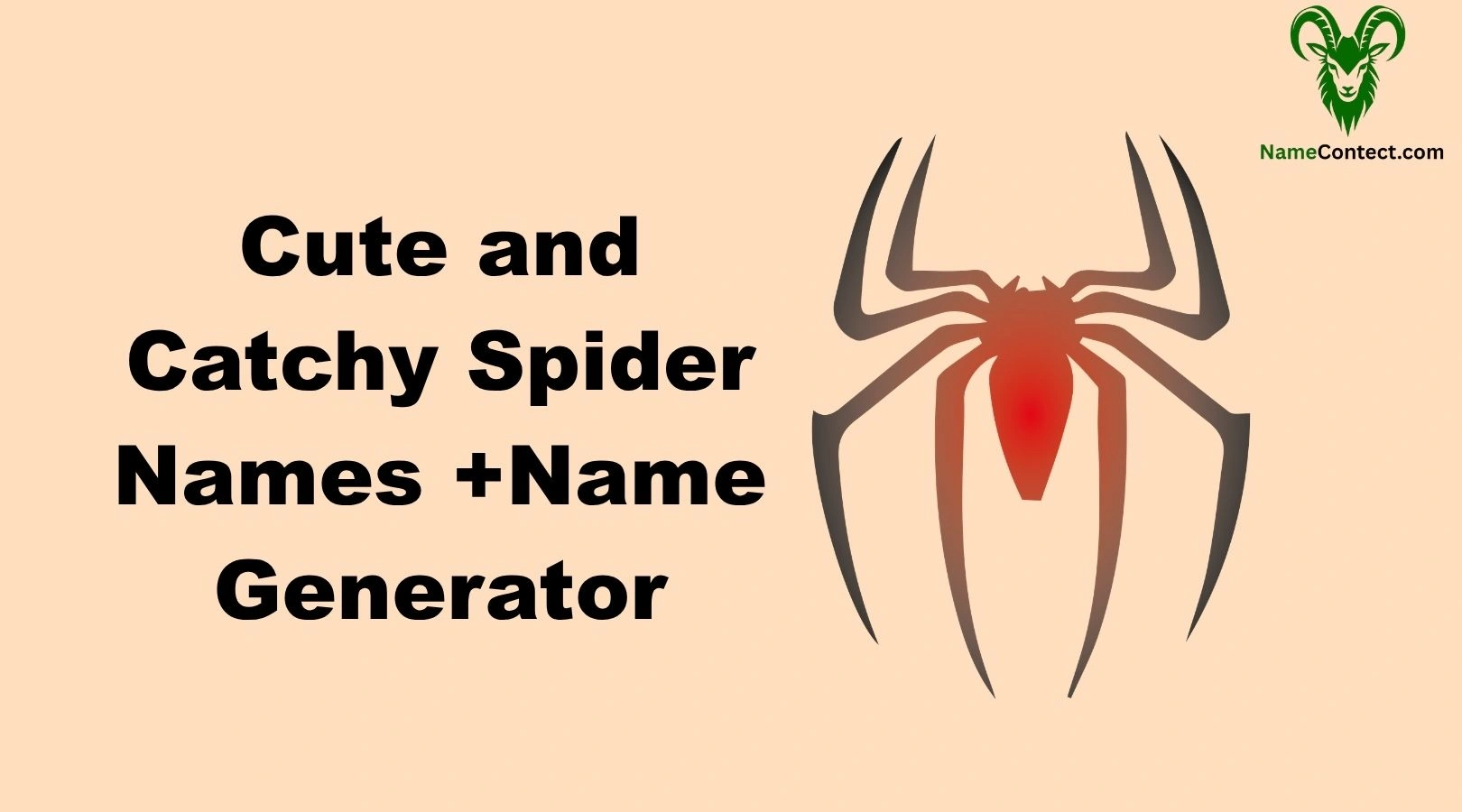 Cute and Catchy Spider Names +Name Generator