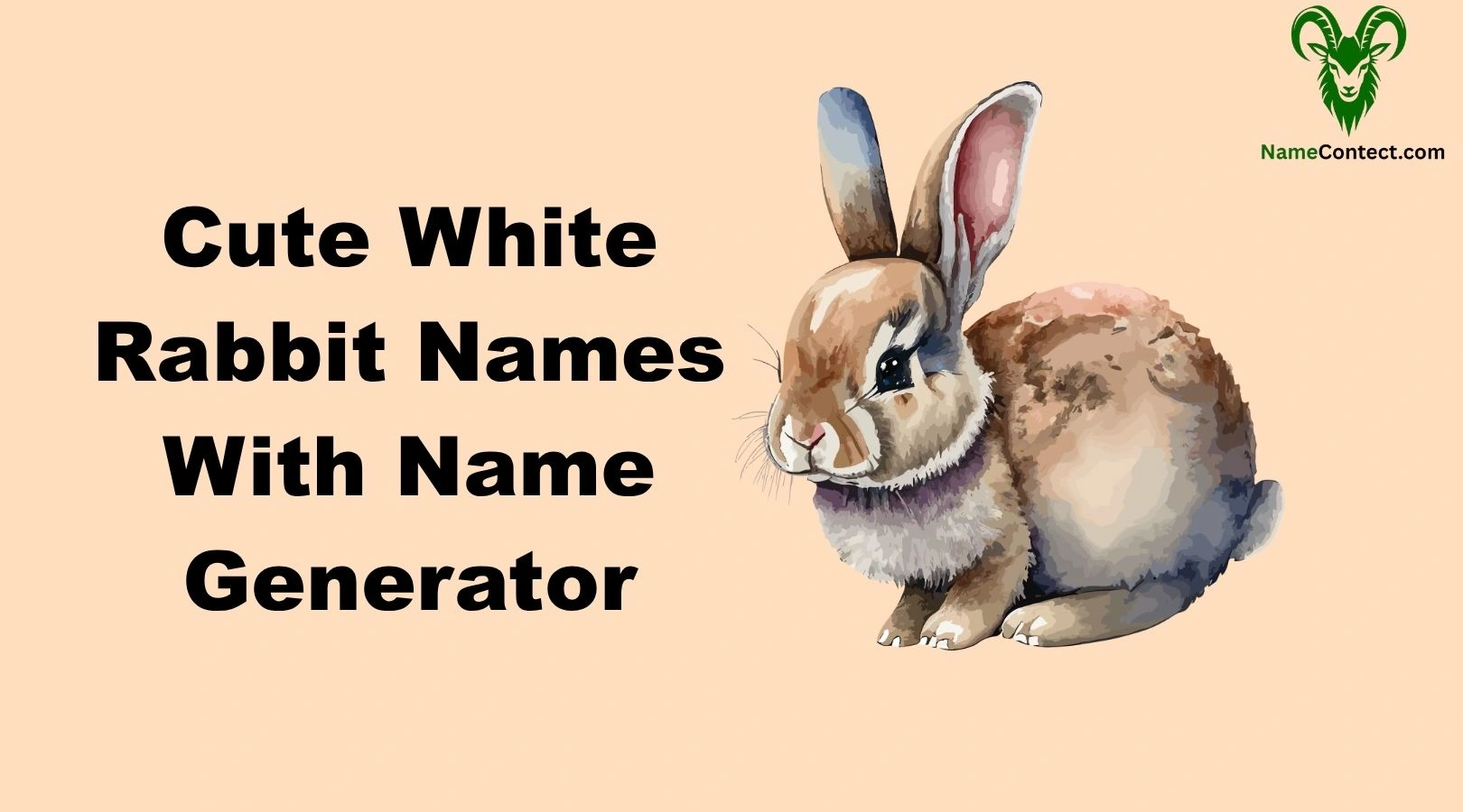Cute White Rabbit Names With Name Generator