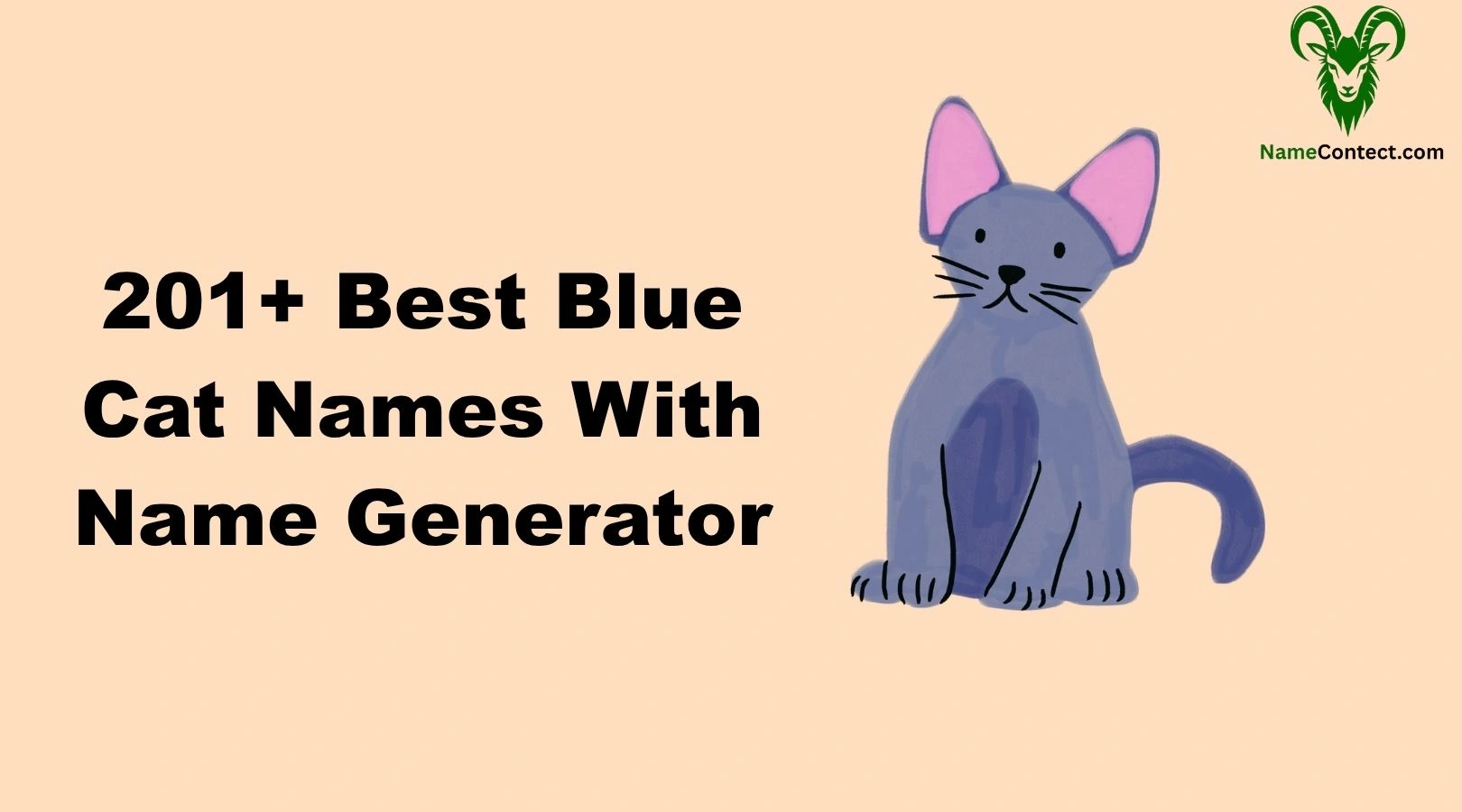 Cool Sassy Cat Names With Name Generator