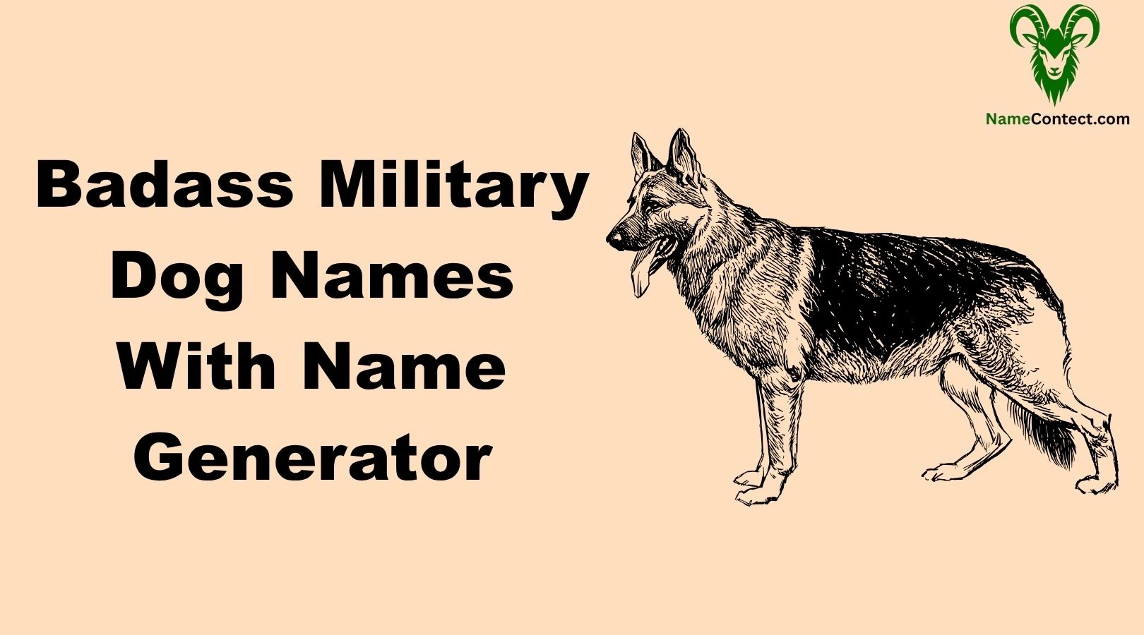 Military Dog Names