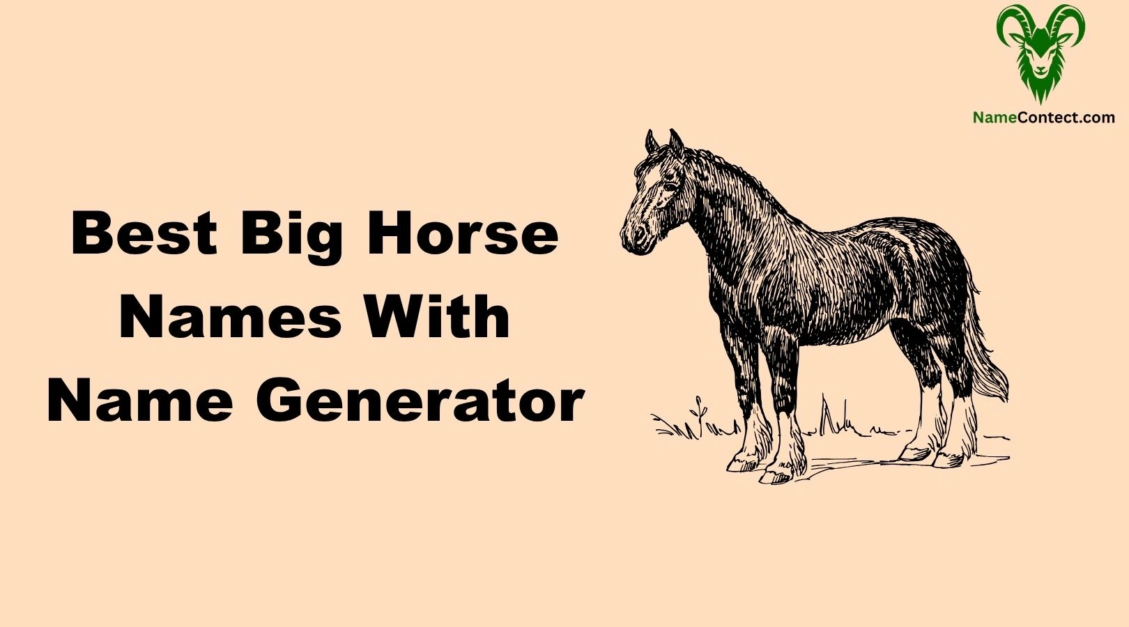 Best Big Horse Names With Name Generator