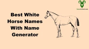 Best White Horse Names With Name Generator