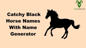 Catchy Black Horse Names With Name Generator