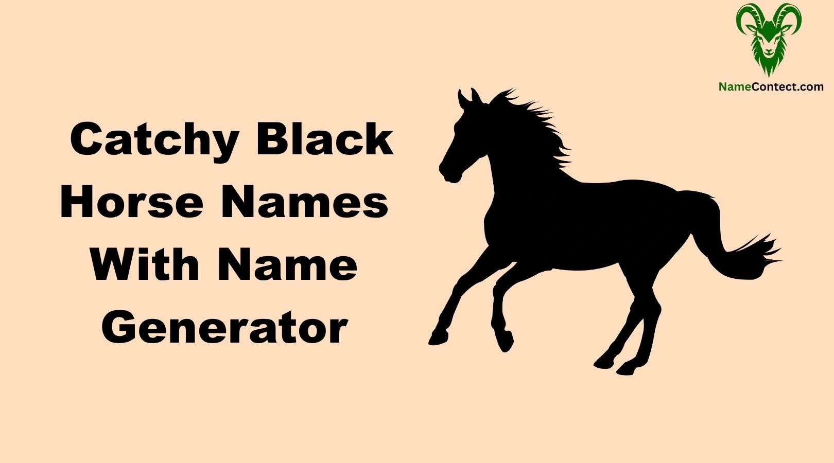 Catchy Black Horse Names With Name Generator