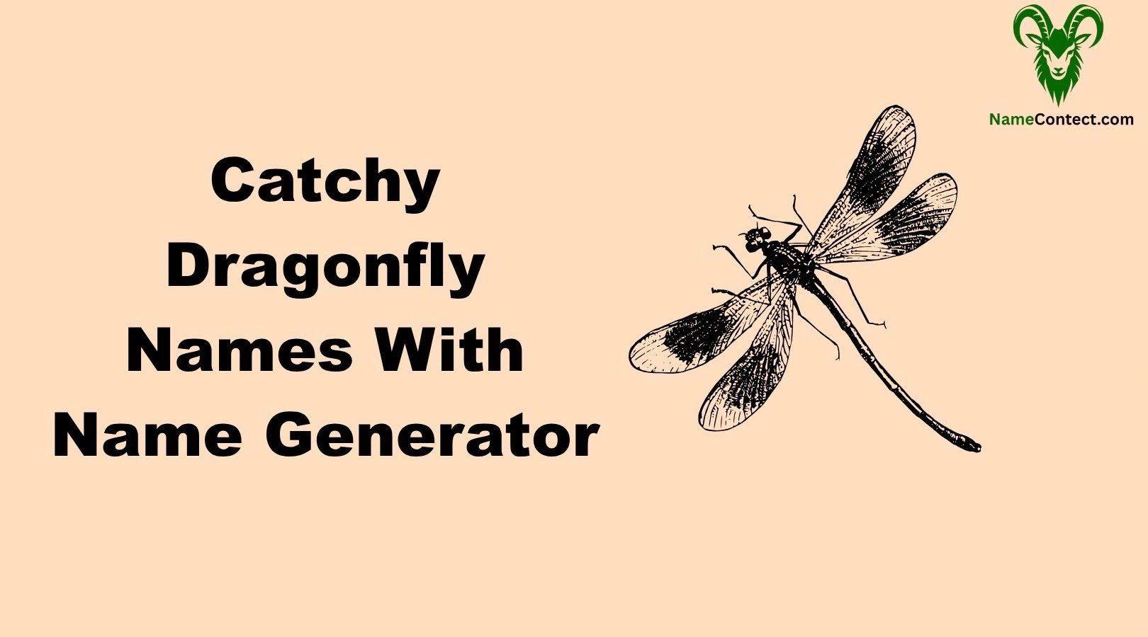 Catchy Dragonfly Names With Name Generator