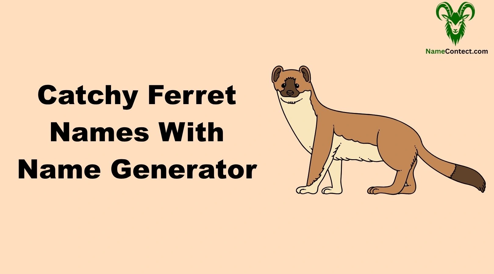 Catchy Ferret Names With Name Generator