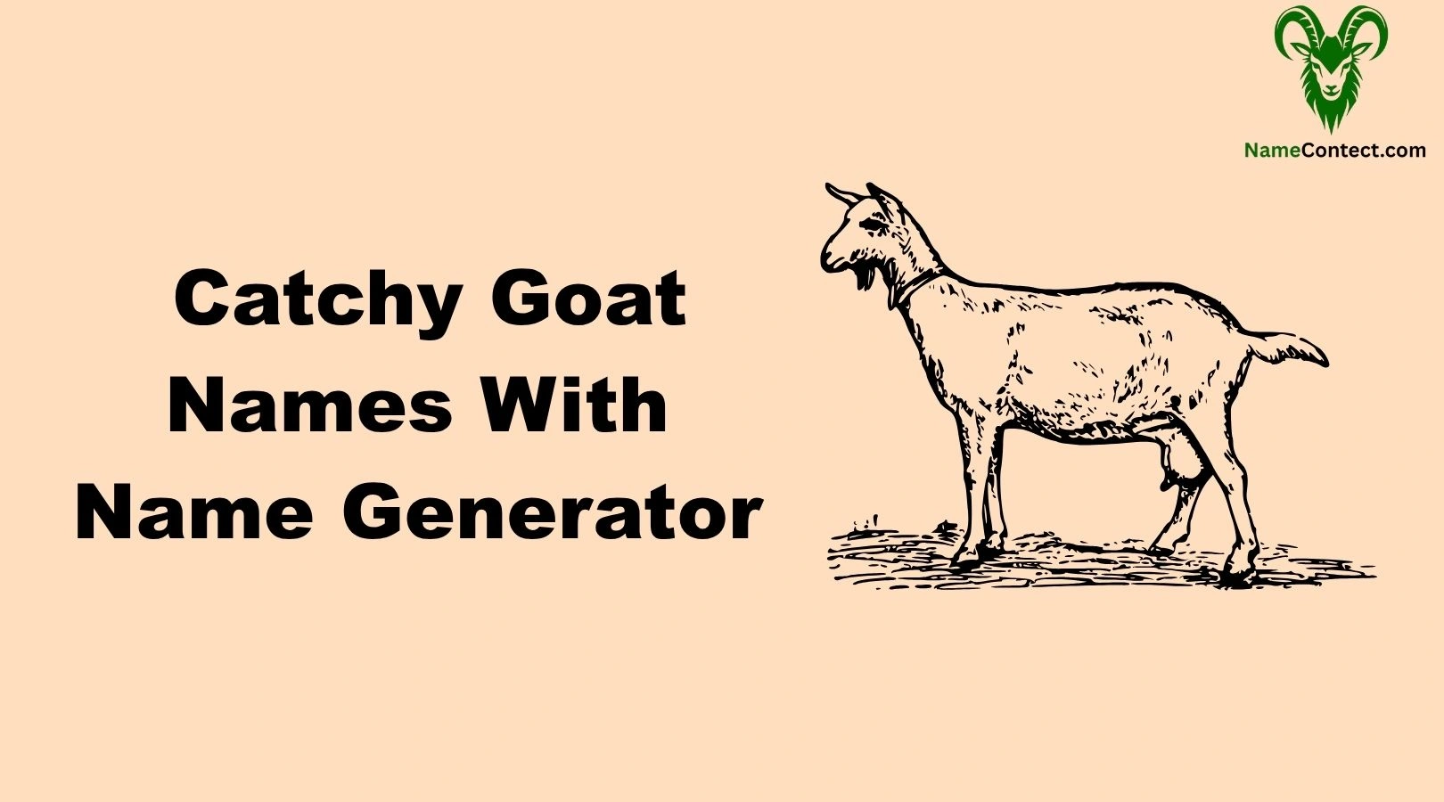 Catchy Goat Names With Name Generator