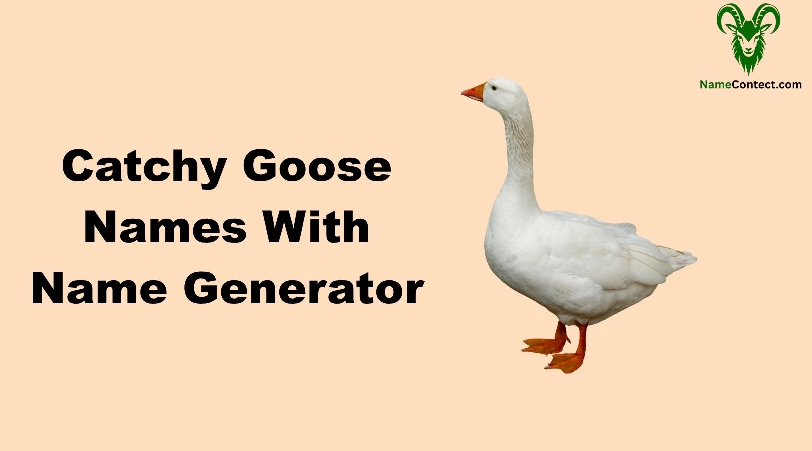 Catchy Goose Names With Name Generator