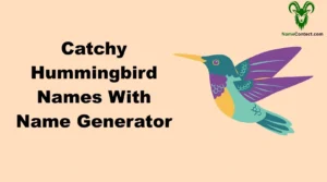 Catchy Hummingbird Names With Name Generator