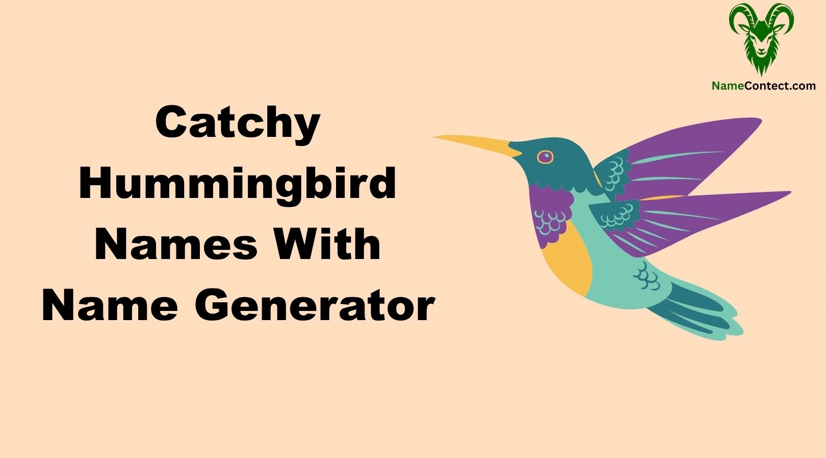 Catchy Hummingbird Names With Name Generator