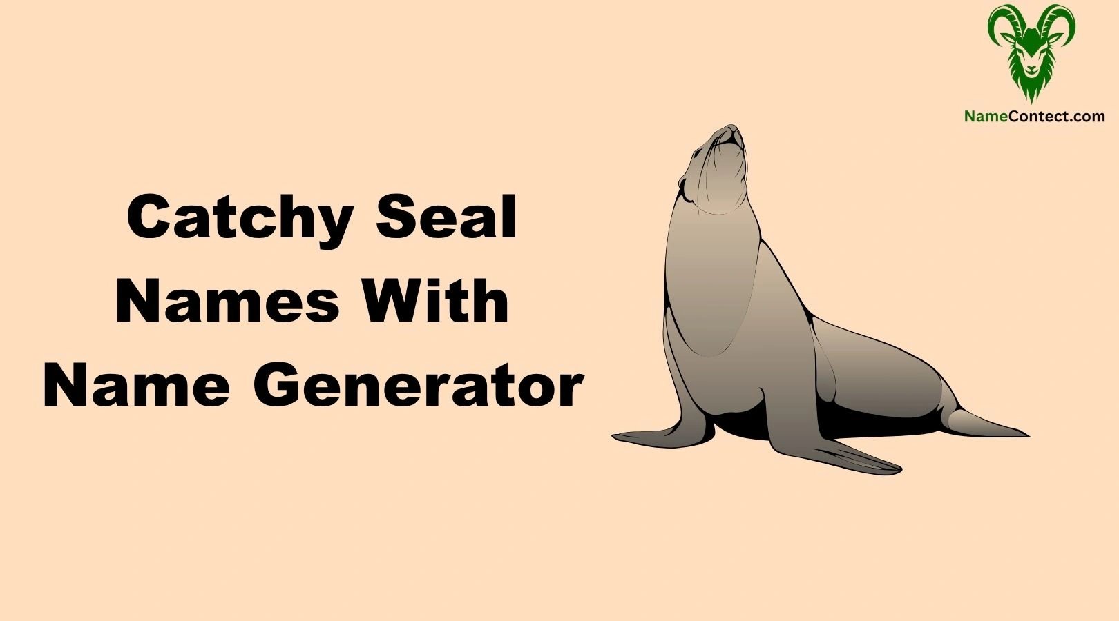 Catchy Seal Names With Name Generator