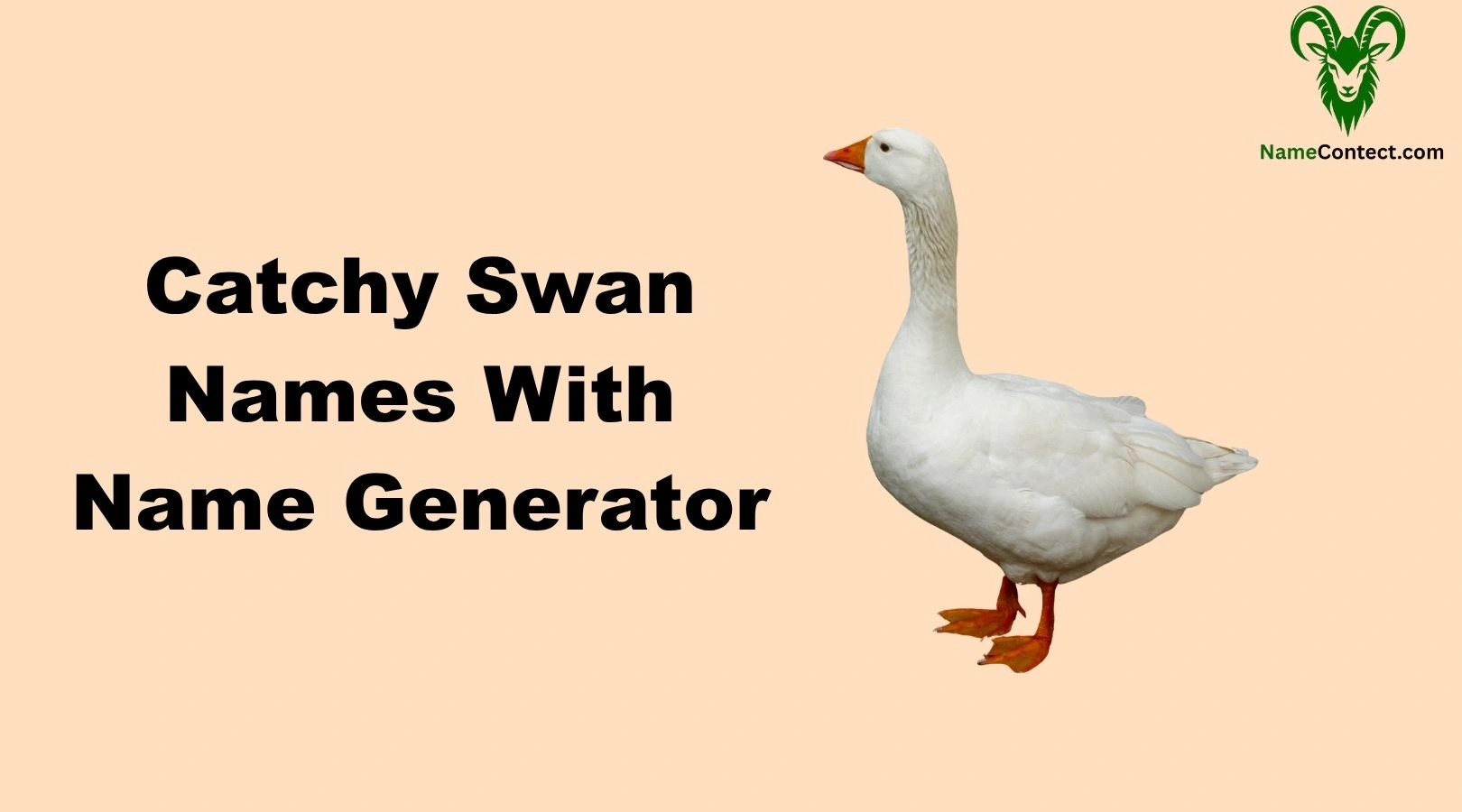 Catchy Swan Names With Name Generator