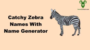 Catchy Zebra Names With Name Generator