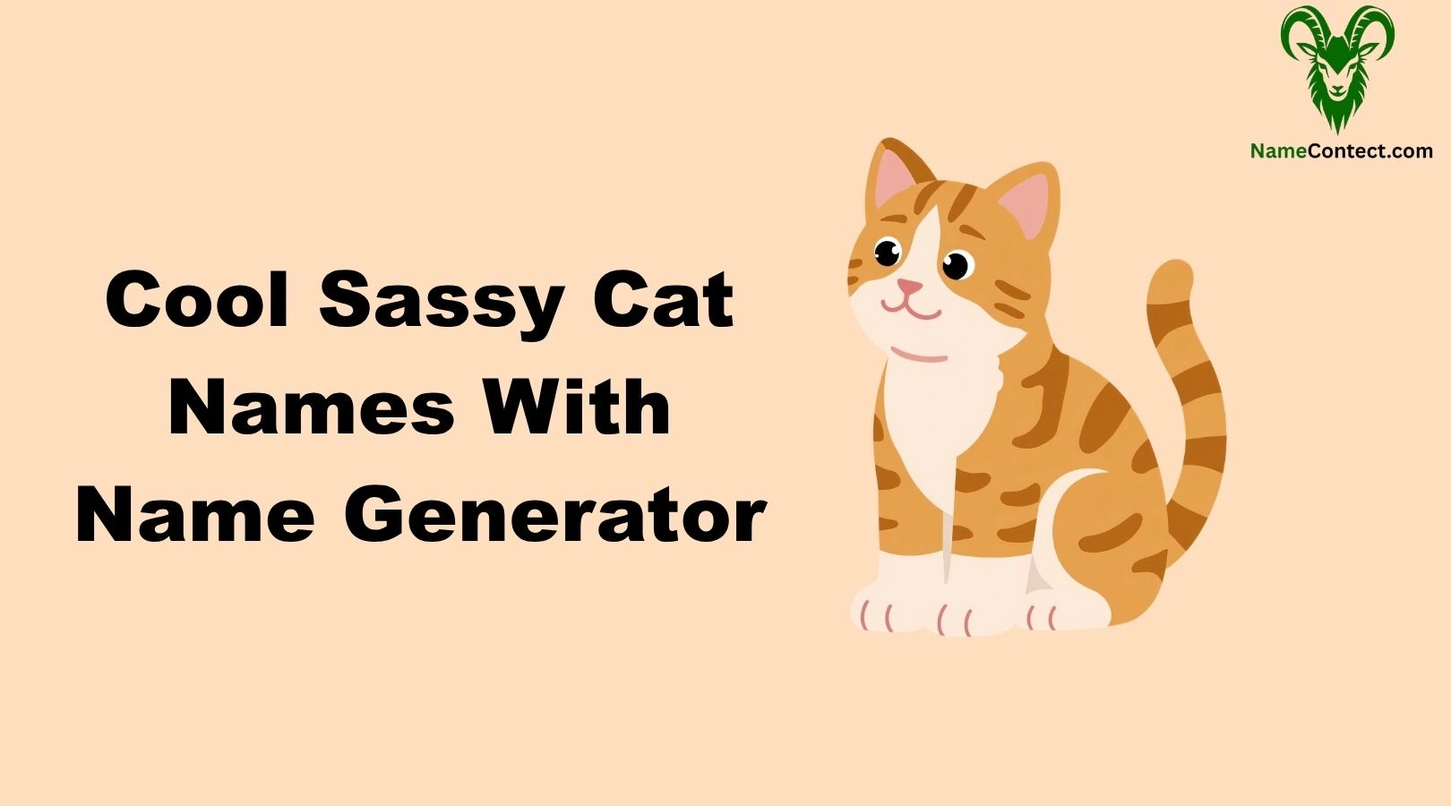 Cool Sassy Cat Names With Name Generator