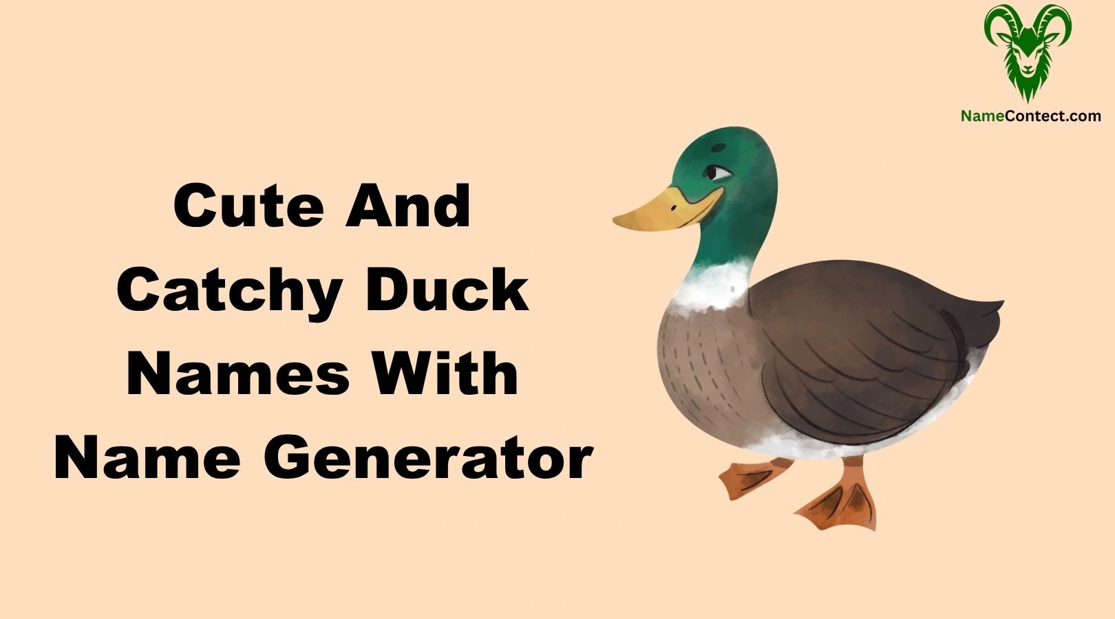 Cute And Catchy Duck Names With Name Generator