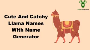 Cute And Catchy Llama Names With Name Generator