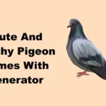 Cute And Catchy Pigeon Names With Generator