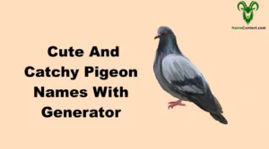 Cute And Catchy Pigeon Names With Generator