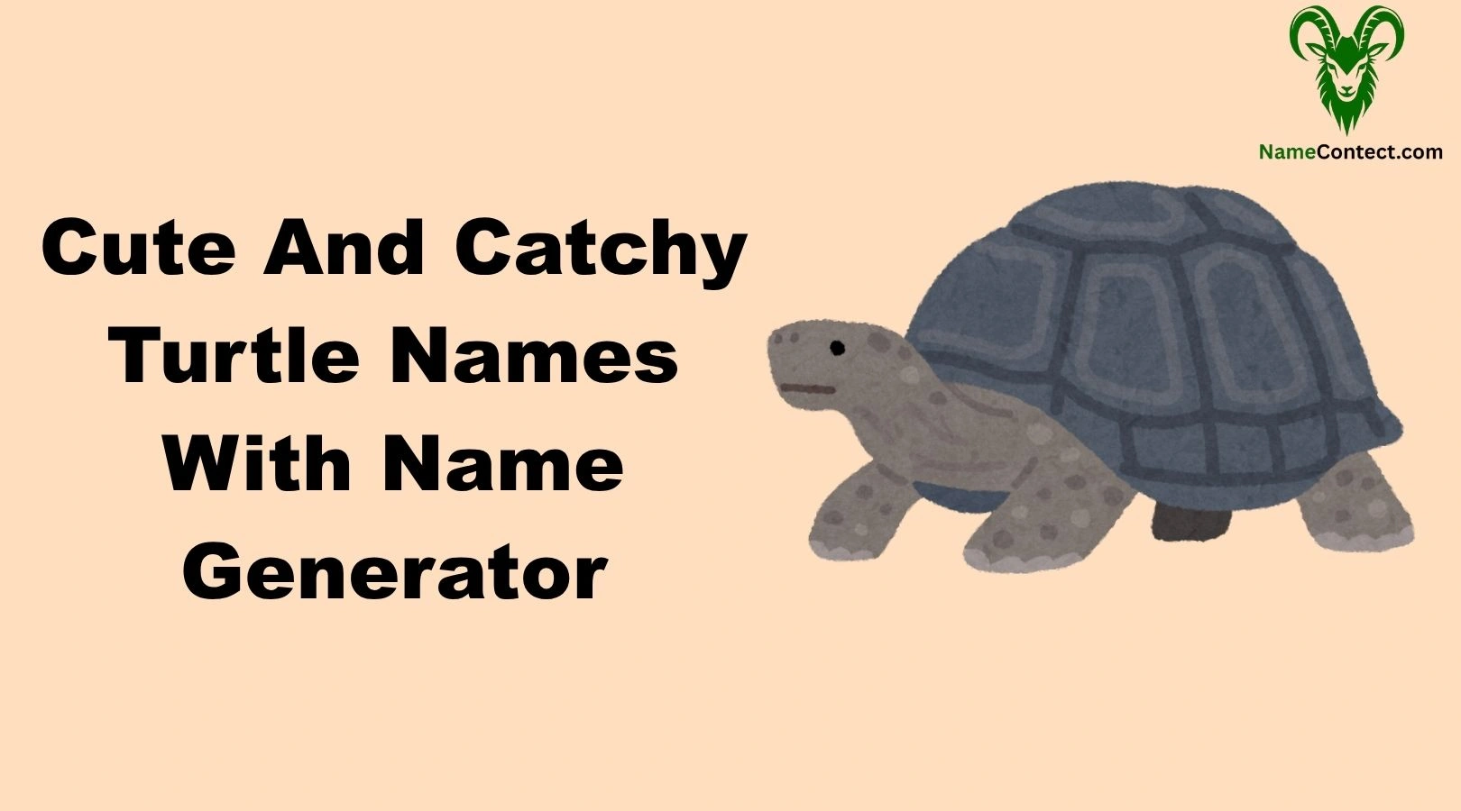 Cute And Catchy Turtle Names With Name Generator