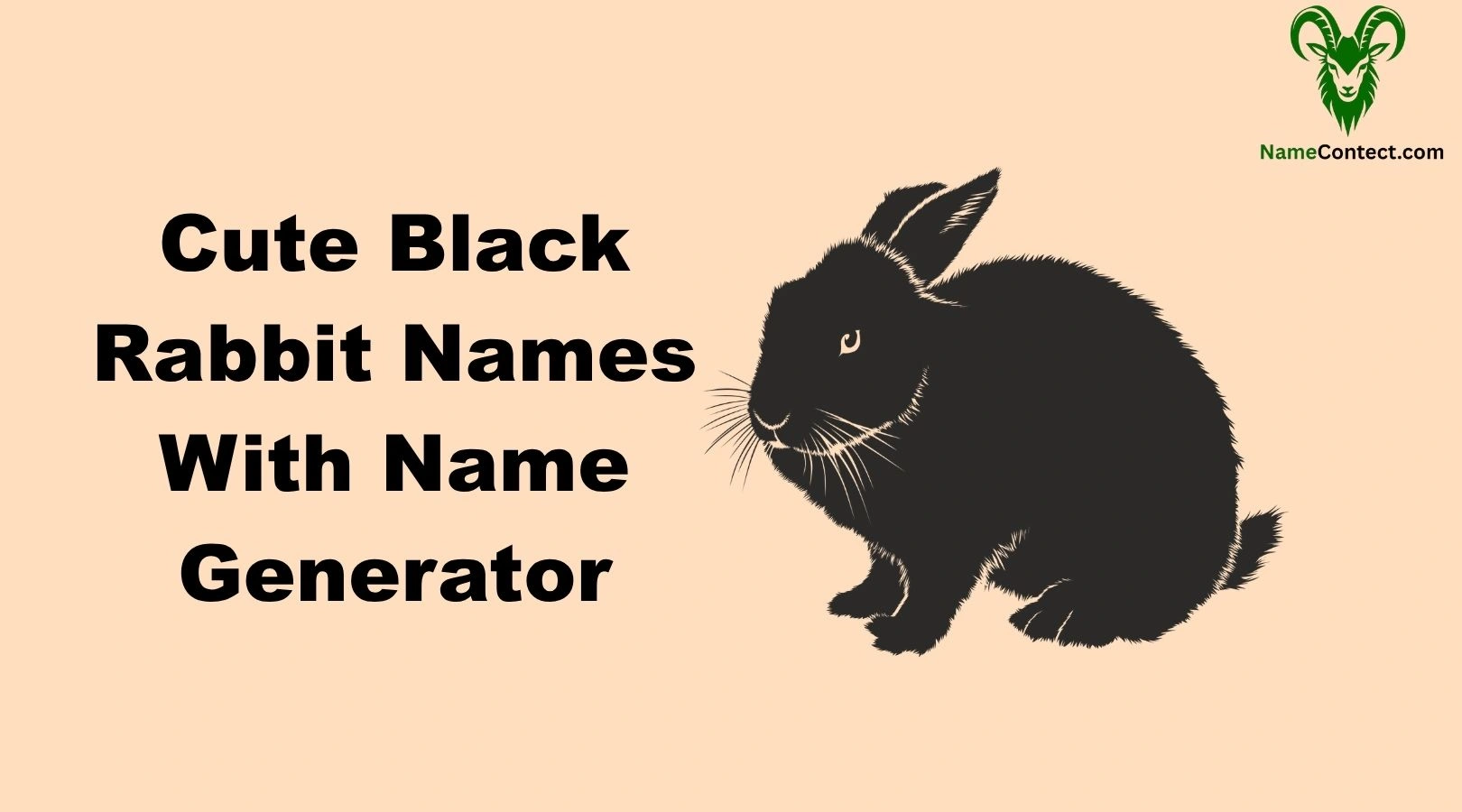 Cute Black Rabbit Names With Name Generator