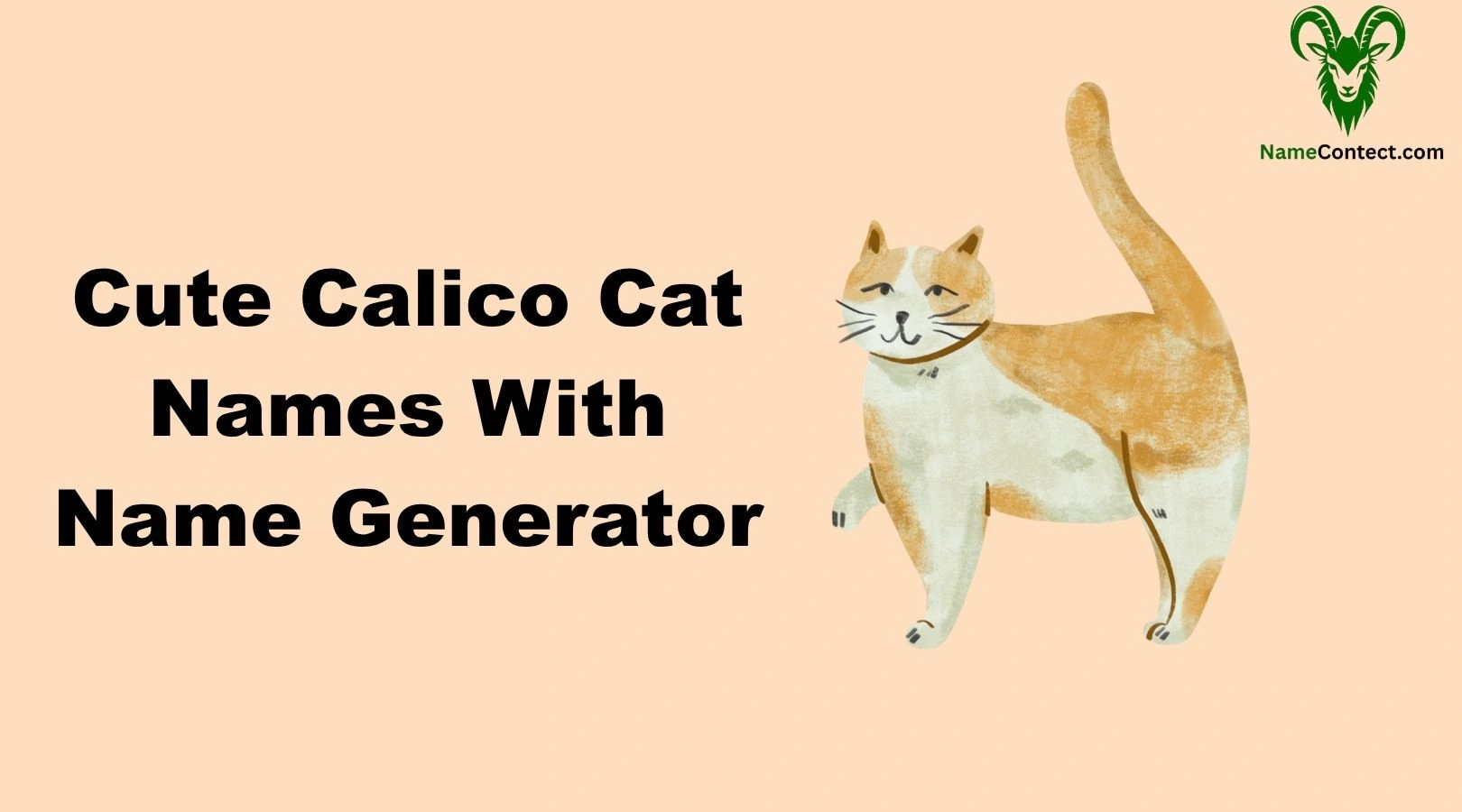 Cute Calico Cat Names With Name Generator