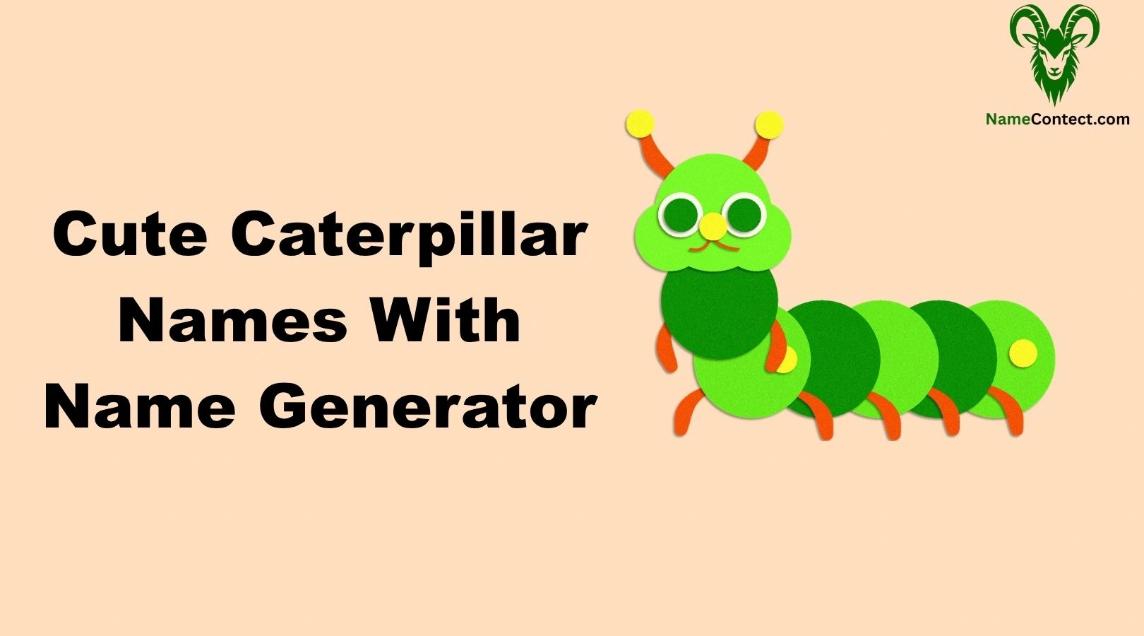 Cute Caterpillar Names With Name Generator