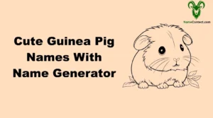 Cute Guinea Pig Names With Name Generator