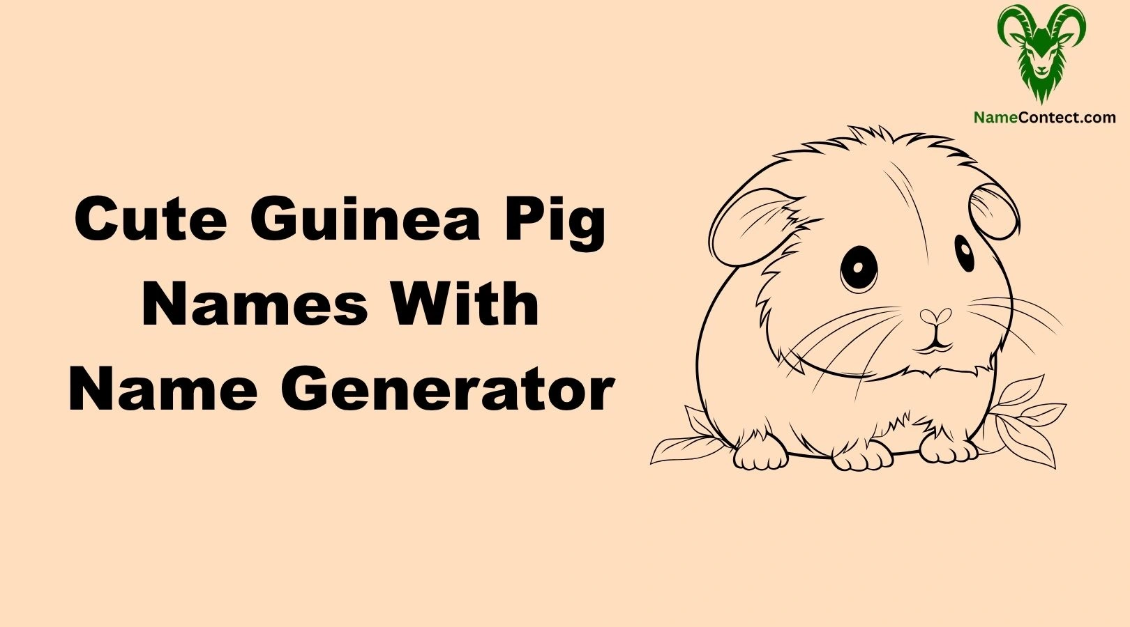 Cute Guinea Pig Names With Name Generator
