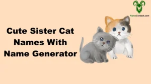 Cute Sister Cat Names With Name Generator