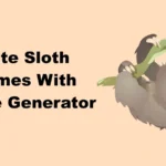 Cute Sloth Names With Name Generator