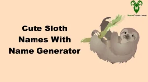 Cute Sloth Names With Name Generator