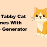 Cute Tabby Cat Names With Name Generator