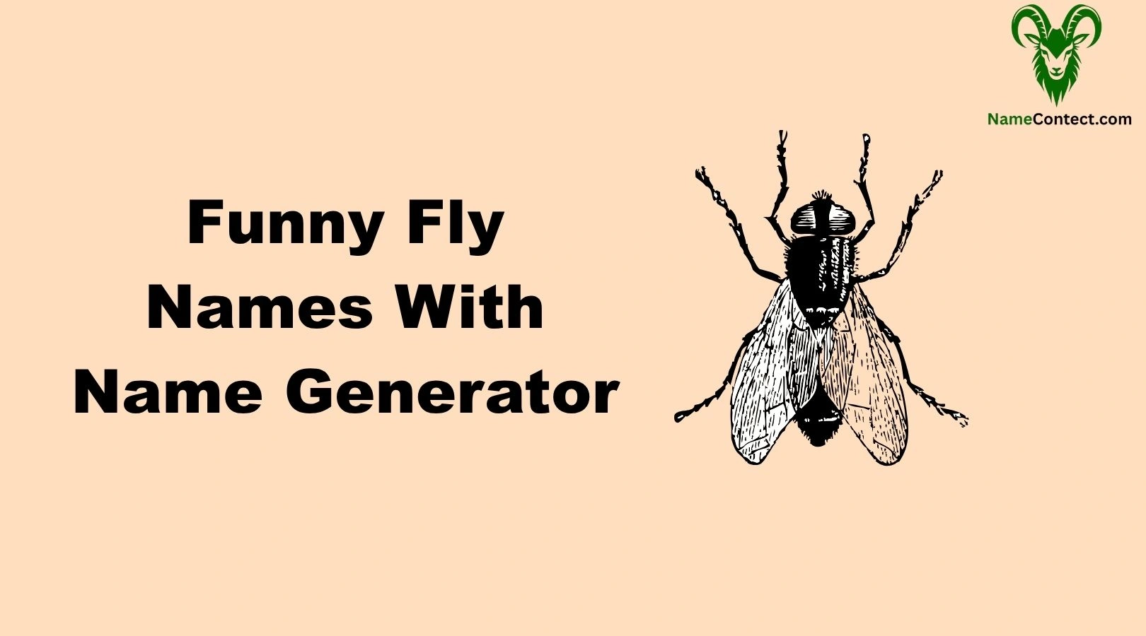 Funny Fly Names With Name Generator
