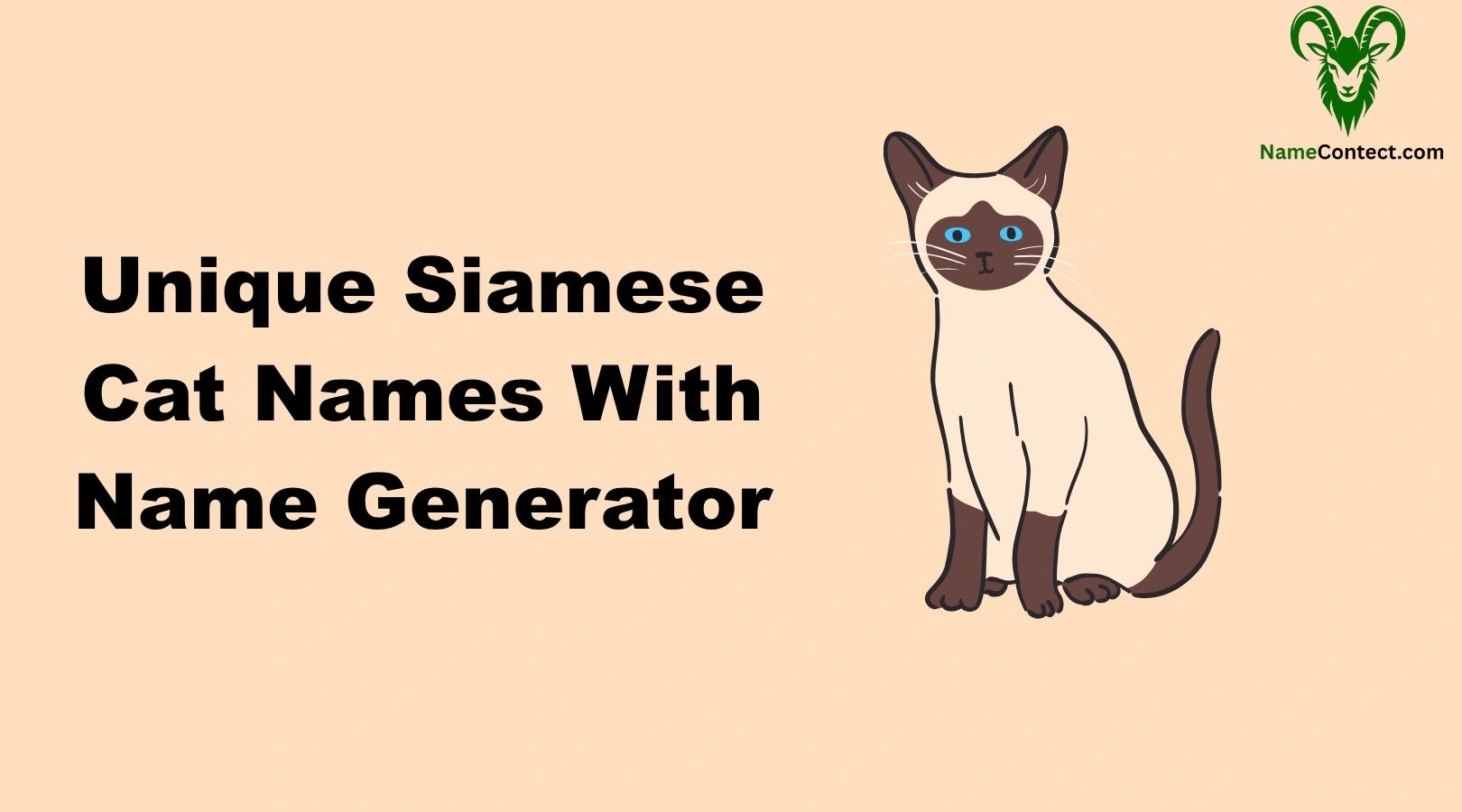 Unique Siamese Cat Names With Name Generator