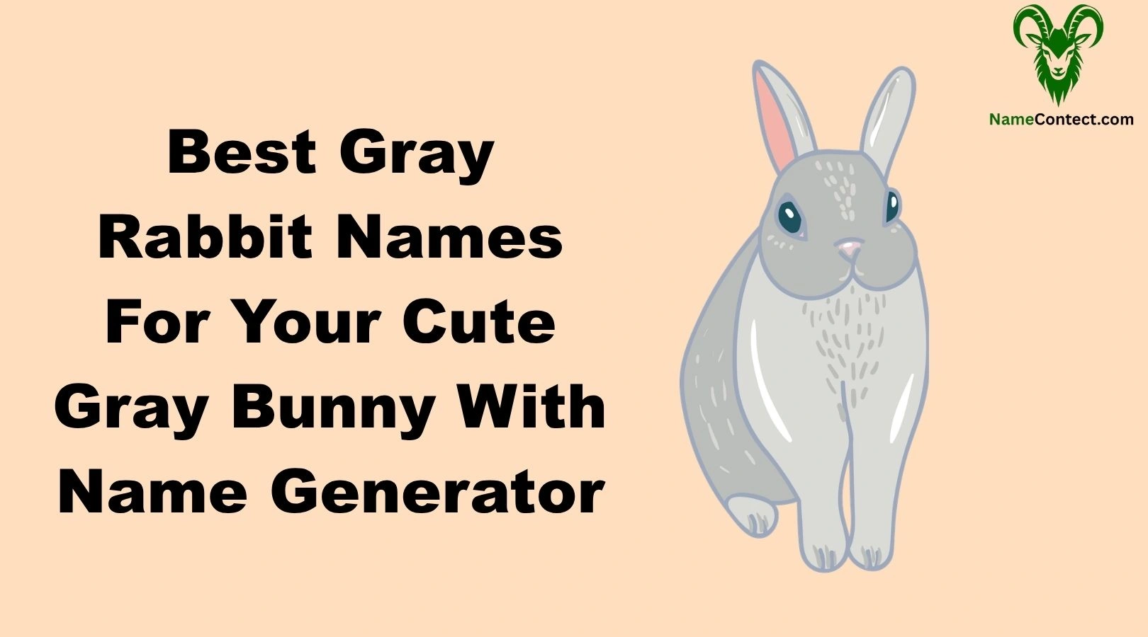 Best Gray Rabbit Names For Your Cute Gray Bunny With Name Generator