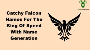 Catchy Falcon Names For The King Of Speed With Name Generation