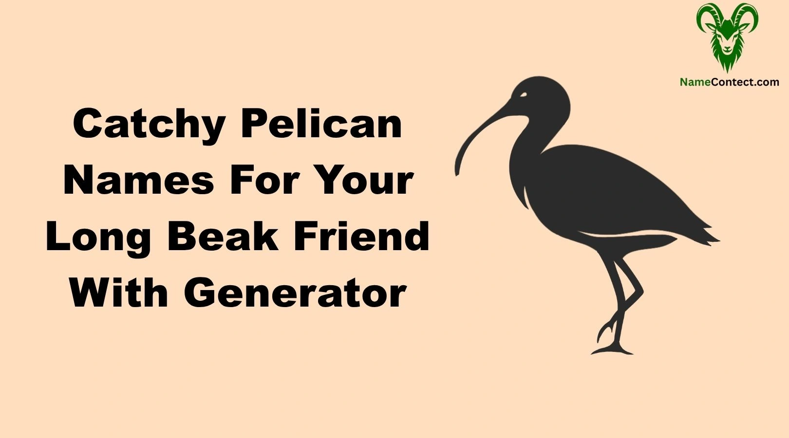 Catchy Pelican Names For Your Long Beak Friend With Generator